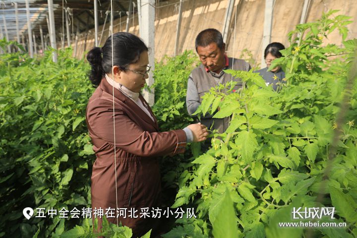 长城网专题报道雷竞技RAYBET太行山农业创新驿站