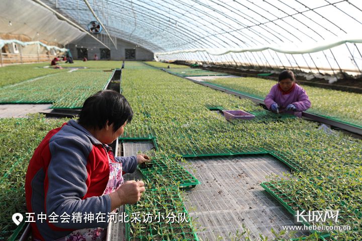 长城网专题报道雷竞技RAYBET太行山农业创新驿站